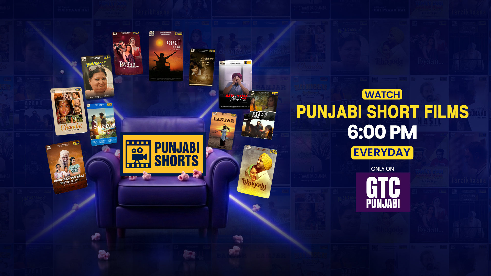 Punjabi Shorts