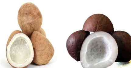 ਸੁੱਕਾ ਨਾਰੀਅਲ ਖ਼ਾਣ ਦੇ ਹਨ ਕਈ ਫਾਇਦੇ, ਜਾਣੋ ਕਿਵੇ ਸਿਹਤ ਲਈ ਹੈ ਲਾਹੇਵੰਦ