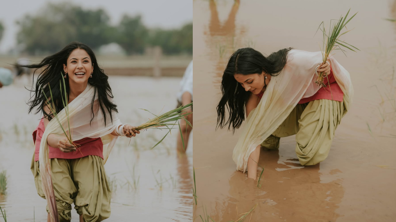 ਸ਼ਹਿਨਾਜ਼ ਗਿੱਲ ਖੇਤਾਂ ‘ਚ ਝੋਨਾ ਲਗਾਉਂਦੀ ਆਈ ਨਜ਼ਰ, ਸਾਂਝੀਆਂ ਕੀਤੀਆਂ ਖੂਬਸੂਰਤ ਤਸਵੀਰਾਂ